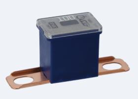 MAI PL30 - FUSIBLE PAL 100 AMP.