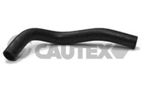 CAUTEX 166036 - MANGUITO INFERIOR RADIADOR