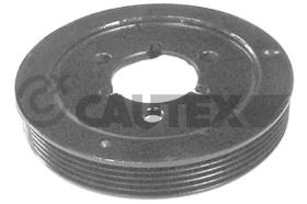 CAUTEX 030941 - POLEA DE CIGÜEÑAL